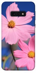 Чехол для Samsung Galaxy S10e PandaPrint Розовая ромашка цветы