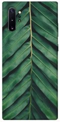 Чехол для Samsung Galaxy Note 10 Plus PandaPrint Пальмовый лист цветы