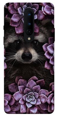 Чехол для OnePlus 8 PandaPrint Енот в цветах цветы