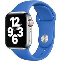 Силиконовый ремешок для Apple watch 42mm / 44mm (Синий / Capri Blue)
