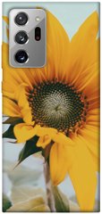 Чохол для Samsung Galaxy Note 20 Ultra PandaPrint Соняшник квіти