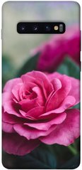 Чехол для Samsung Galaxy S10+ PandaPrint Роза в саду цветы