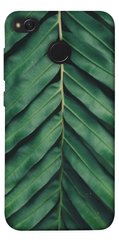 Чехол для Xiaomi Redmi 4X PandaPrint Пальмовый лист цветы