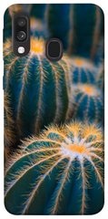 Чехол для Samsung Galaxy A40 (A405F) PandaPrint Кактусы цветы