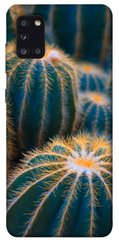 Чехол для Samsung Galaxy A31 PandaPrint Кактусы цветы