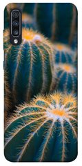 Чохол для Samsung Galaxy A70 (A705F) PandaPrint Кактуси квіти