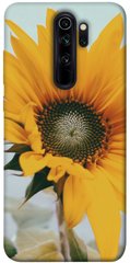 Чохол для Xiaomi Redmi Note 8 Pro PandaPrint Соняшник квіти