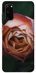 Чохол для Samsung Galaxy S20 PandaPrint Роза Остін квіти