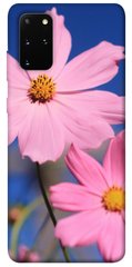 Чохол для Samsung Galaxy S20 + PandaPrint Рожева ромашка квіти