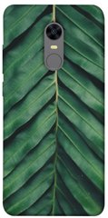 Чохол для Xiaomi Redmi 5 Plus PandaPrint Пальмовий лист квіти