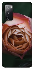 Чехол для Samsung Galaxy S20 FE PandaPrint Роза остин цветы