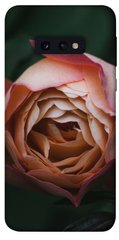 Чехол для Samsung Galaxy S10e PandaPrint Роза остин цветы
