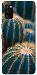 Чохол для Samsung Galaxy A41 PandaPrint Кактуси квіти
