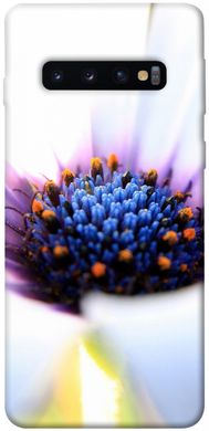 Чехол для Samsung Galaxy S10 PandaPrint Полевой цветок цветы