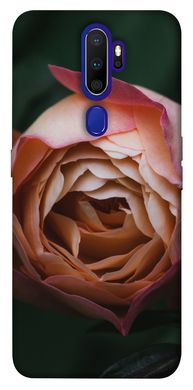 Чехол для Oppo A9 (2020) PandaPrint Роза остин цветы