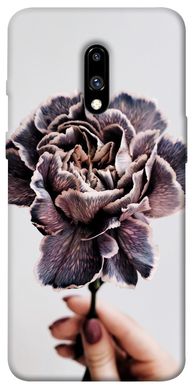 Чохол для OnePlus 7 Pro PandaPrint Гвоздика квіти