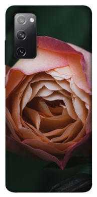 Чохол для Samsung Galaxy S20 FE PandaPrint Роза Остін квіти