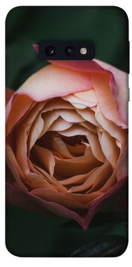 Чехол для Samsung Galaxy S10e PandaPrint Роза остин цветы