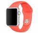 Силиконовый ремешок для Apple watch 42mm / 44mm (Оранжевый / Electric Orange)