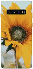 Чехол для Samsung Galaxy S10 PandaPrint Подсолнух цветы
