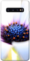 Чехол для Samsung Galaxy S10+ PandaPrint Полевой цветок цветы