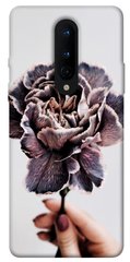 Чохол для OnePlus 8 PandaPrint Гвоздика квіти