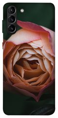 Чохол для Samsung Galaxy S21 + PandaPrint Роза Остін квіти