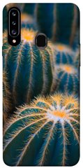 Чохол для Samsung Galaxy A20s PandaPrint Кактуси квіти