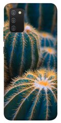 Чехол для Samsung Galaxy A02s PandaPrint Кактусы цветы