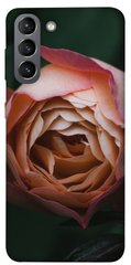 Чехол для Samsung Galaxy S21 PandaPrint Роза остин цветы