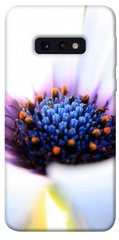 Чехол для Samsung Galaxy S10e PandaPrint Полевой цветок цветы