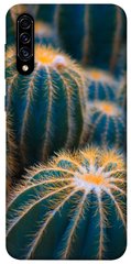 Чехол для Samsung Galaxy A50 (A505F) / A50s / A30s PandaPrint Кактусы цветы