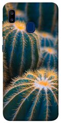 Чехол для Samsung Galaxy A20 / A30 PandaPrint Кактусы цветы