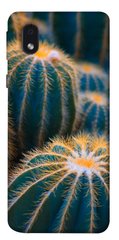 Чехол для Samsung Galaxy M01 Core / A01 Core PandaPrint Кактусы цветы