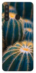 Чехол для Samsung Galaxy A21 PandaPrint Кактусы цветы