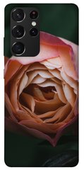Чехол для Samsung Galaxy S21 Ultra PandaPrint Роза остин цветы