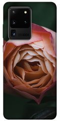 Чехол для Samsung Galaxy S20 Ultra PandaPrint Роза остин цветы