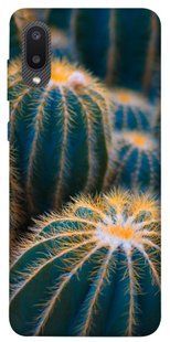 Чохол для Samsung Galaxy A02 PandaPrint Кактуси квіти