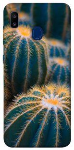 Чехол для Samsung Galaxy A20 / A30 PandaPrint Кактусы цветы
