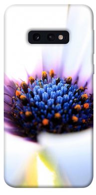 Чехол для Samsung Galaxy S10e PandaPrint Полевой цветок цветы
