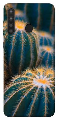 Чехол для Samsung Galaxy A21 PandaPrint Кактусы цветы