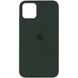 Чехол для iPhone 12 Pro Max Silicone Full / Закрытый низ / Зеленый / Cyprus Green