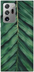 Чехол для Samsung Galaxy Note 20 Ultra PandaPrint Пальмовый лист цветы