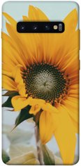 Чехол для Samsung Galaxy S10+ PandaPrint Подсолнух цветы