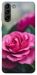 Чехол для Samsung Galaxy S21+ PandaPrint Роза в саду цветы