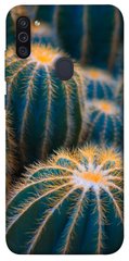 Чохол для Samsung Galaxy M11 PandaPrint Кактуси квіти
