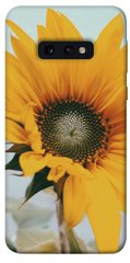 Чехол для Samsung Galaxy S10e PandaPrint Подсолнух цветы