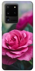 Чохол для Samsung Galaxy S20 Ultra PandaPrint Роза в саду квіти