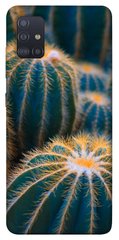 Чехол для Samsung Galaxy M51 PandaPrint Кактусы цветы