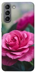 Чохол для Samsung Galaxy S21 PandaPrint Роза в саду квіти